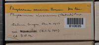 Image Associated With the Occurence